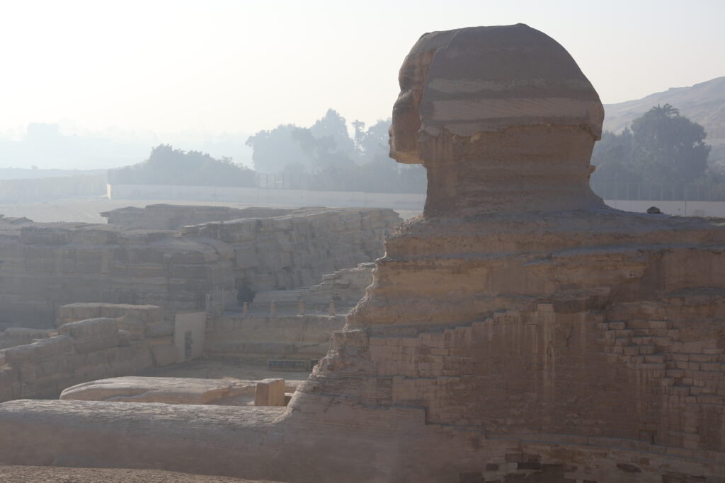 朝日を浴びて佇むギザのスフィンクスの横顔