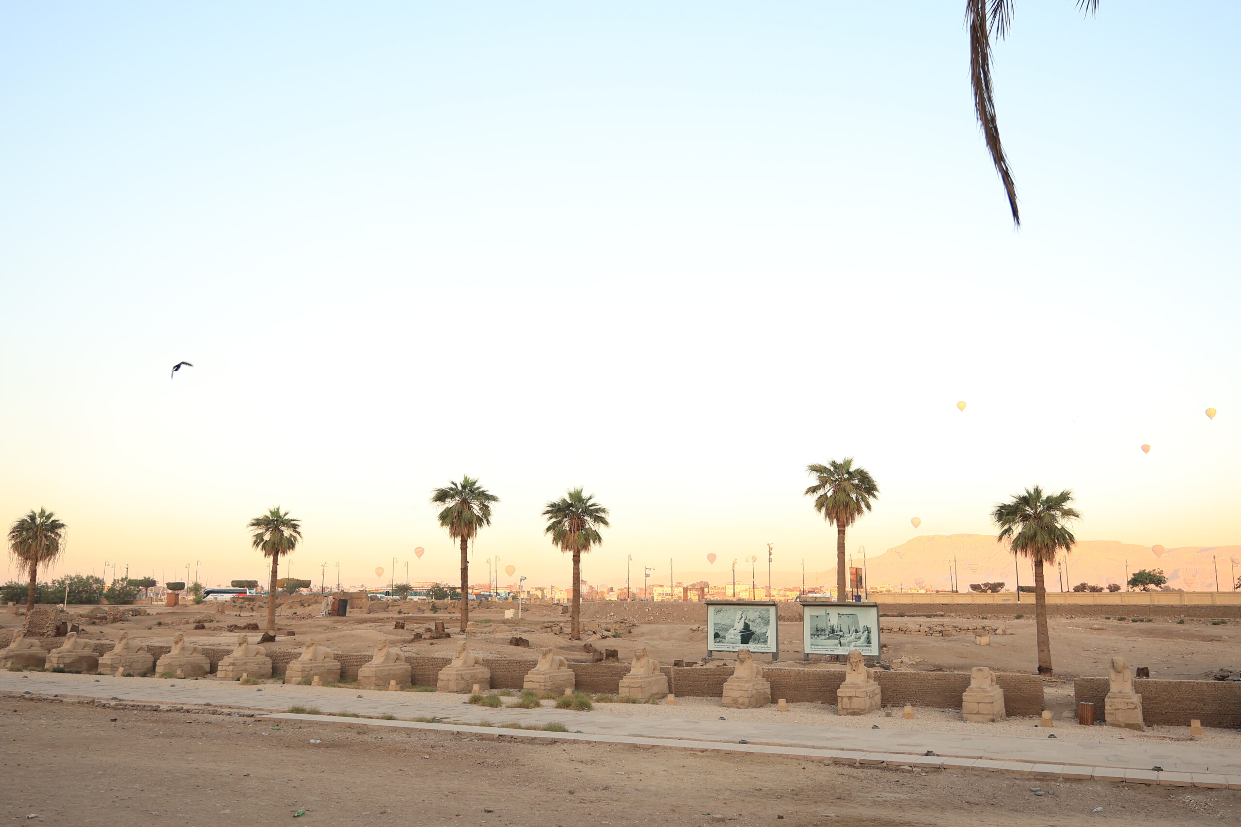 ルクソールの気球