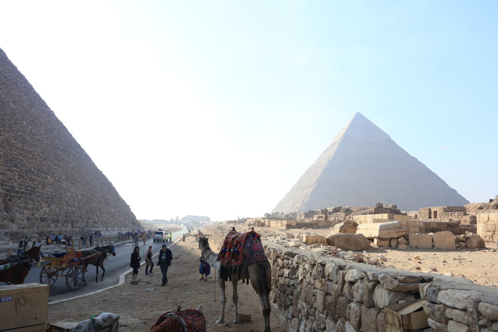 ピラミッドとラクダ