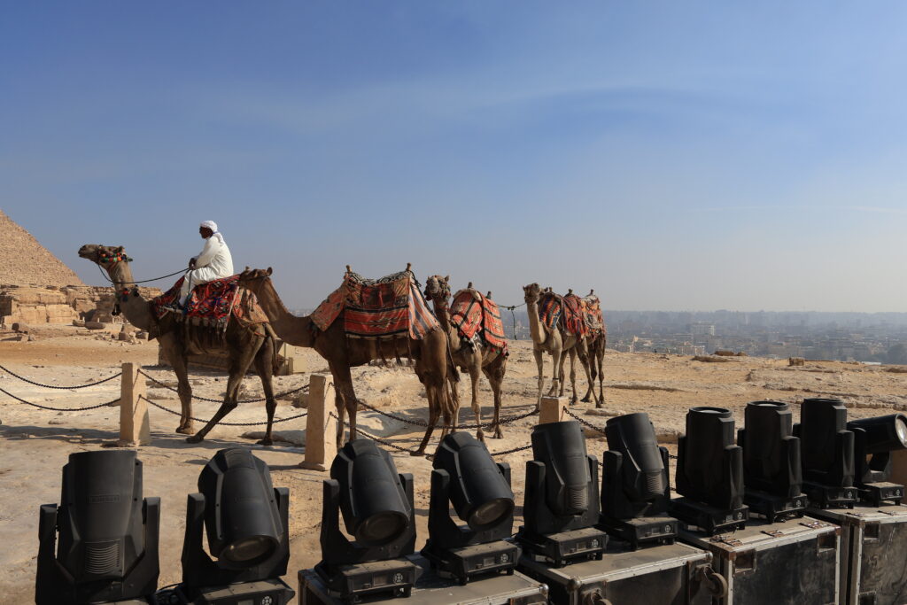 照明器具とラクダ