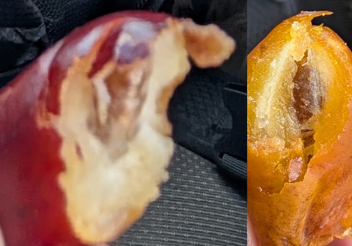 赤い果物と黄色い果物