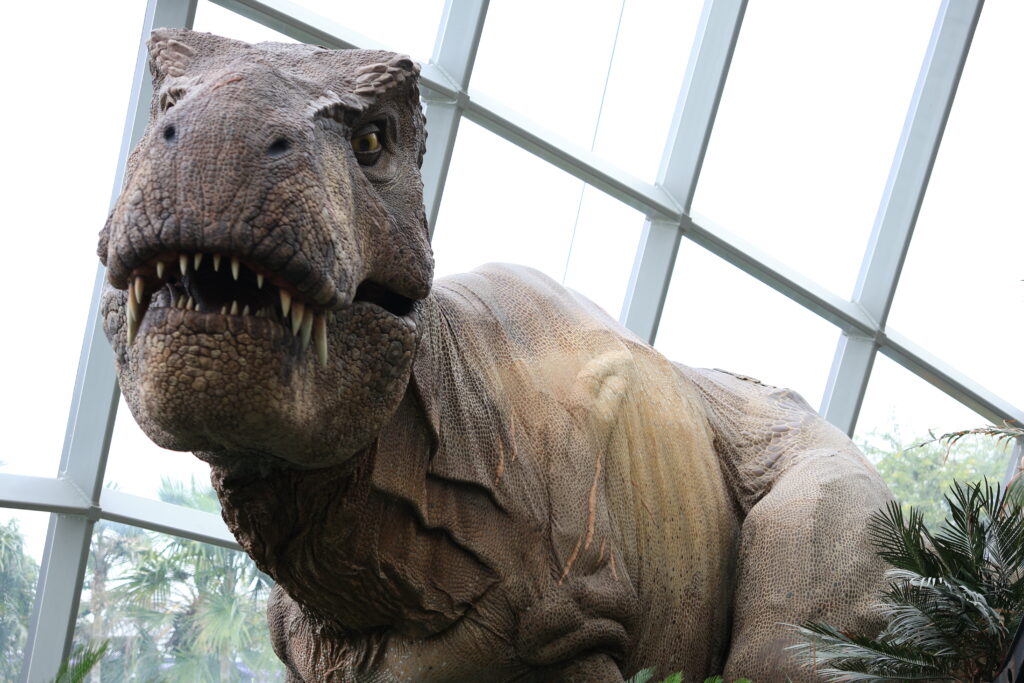 クラウドフォレスト＆ジュラシックワールド