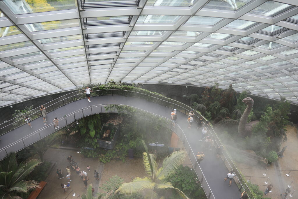 クラウドフォレスト