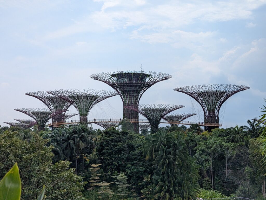 スーパーツリー