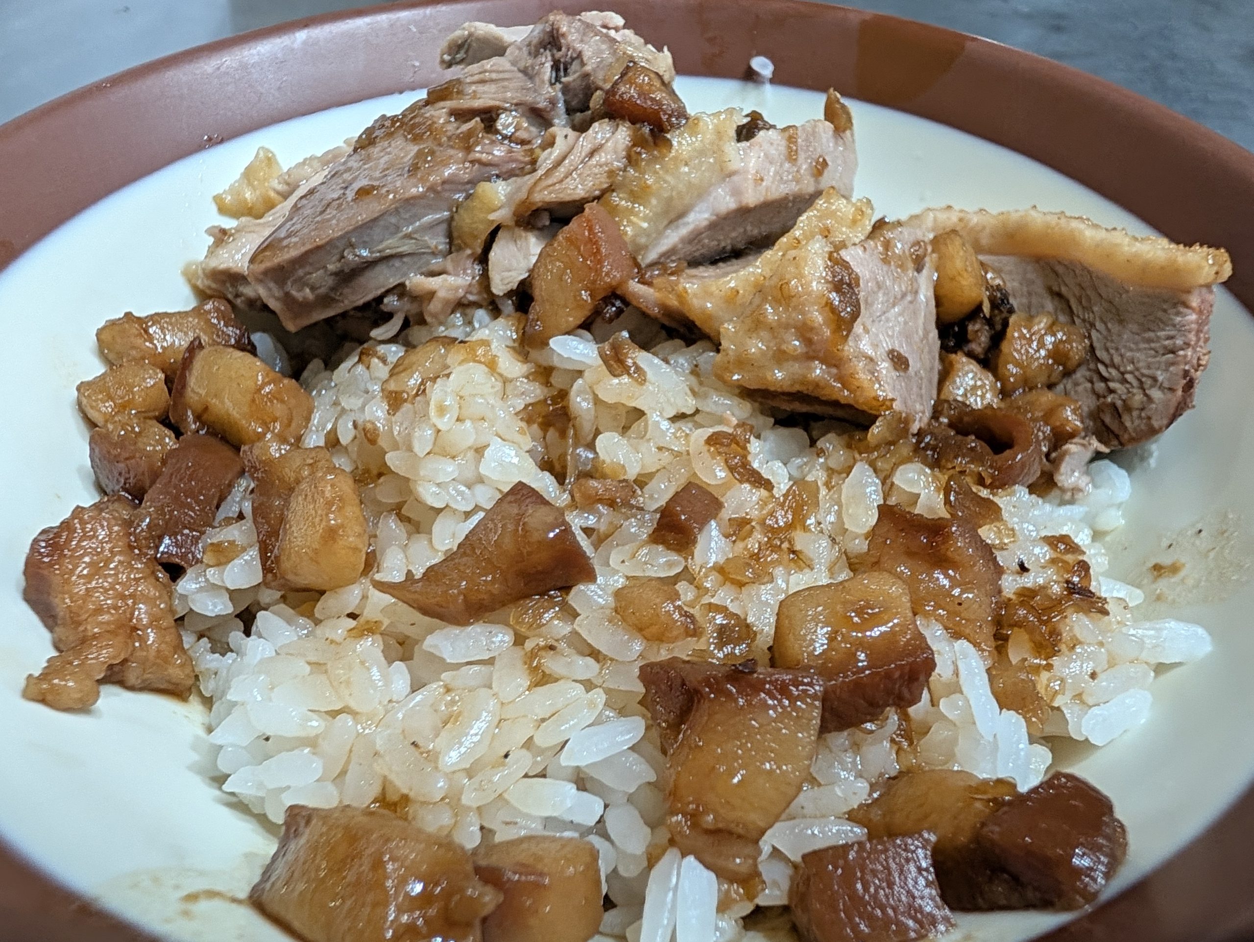 鴨肉珍の鴨肉飯のアップ。鴨肉とルーローがのったご飯